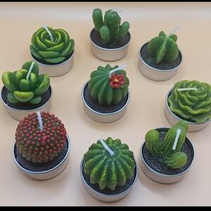 Succulent Cactus Tealight Candle Set of 18 New in Box